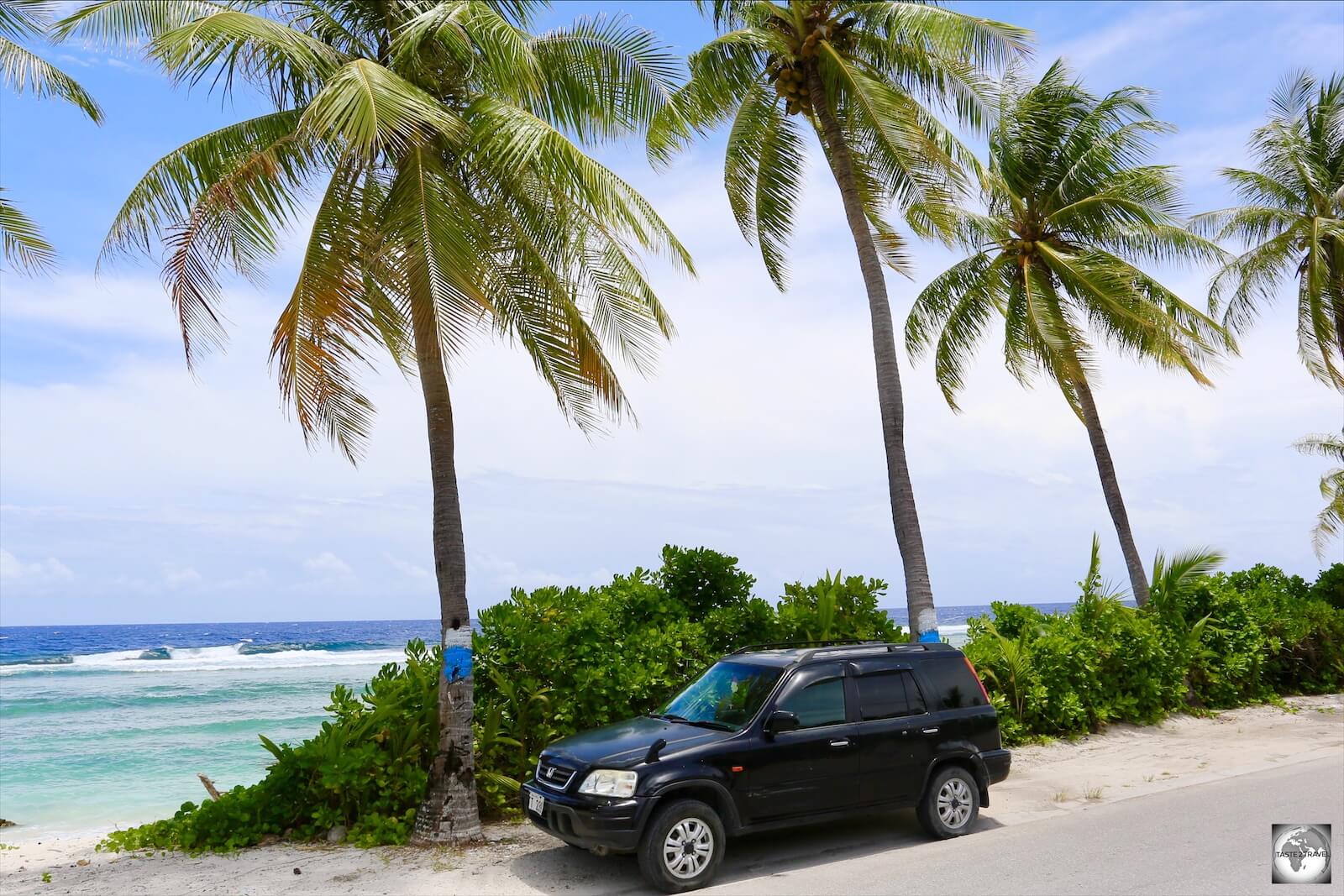 My rental car at Anibare Bay with the blue and white colours painted on the palm trees representing the colours of the AFL (Australian Rules football) team which the district supports.