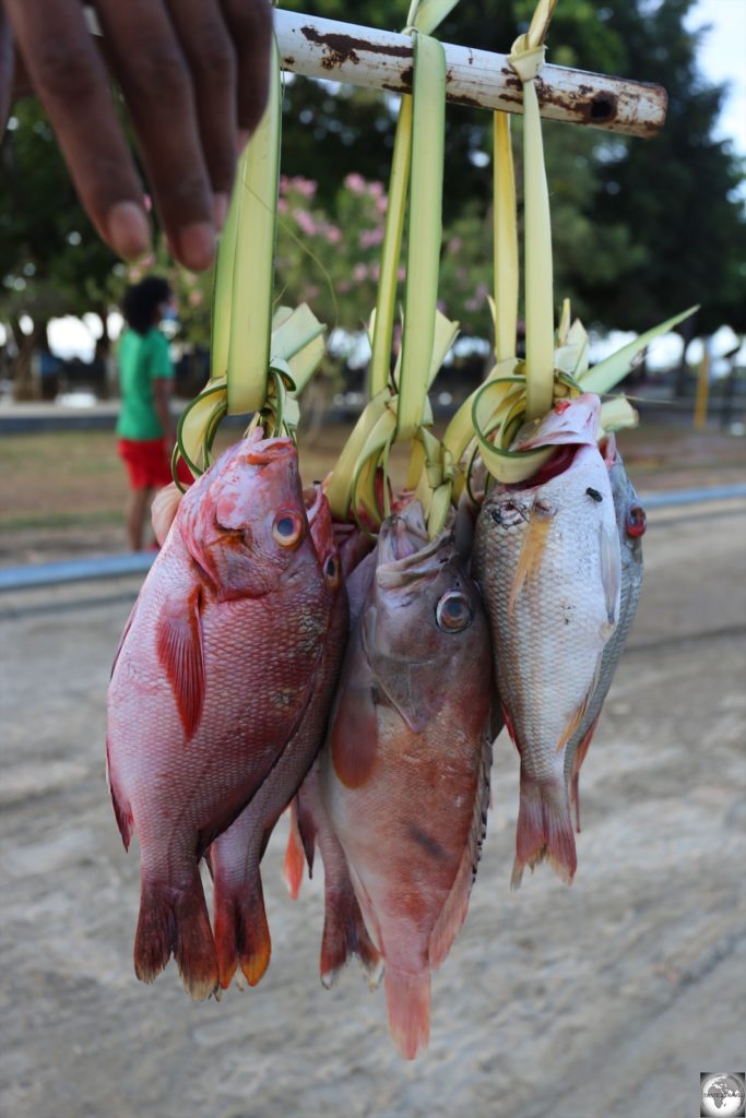 Fish in Dili are sold by roadside vendors who balance their produce on a carrying stick.