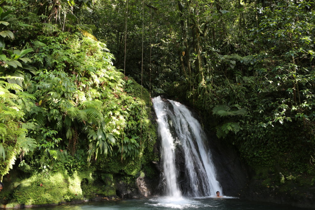 Cascade aux Ecrevisses are a highlight of the Guadeloupe National Park.
