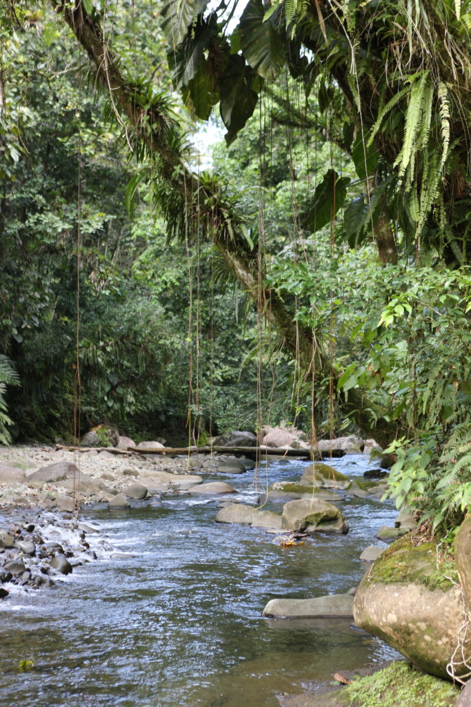 Guadeloupe National Park.