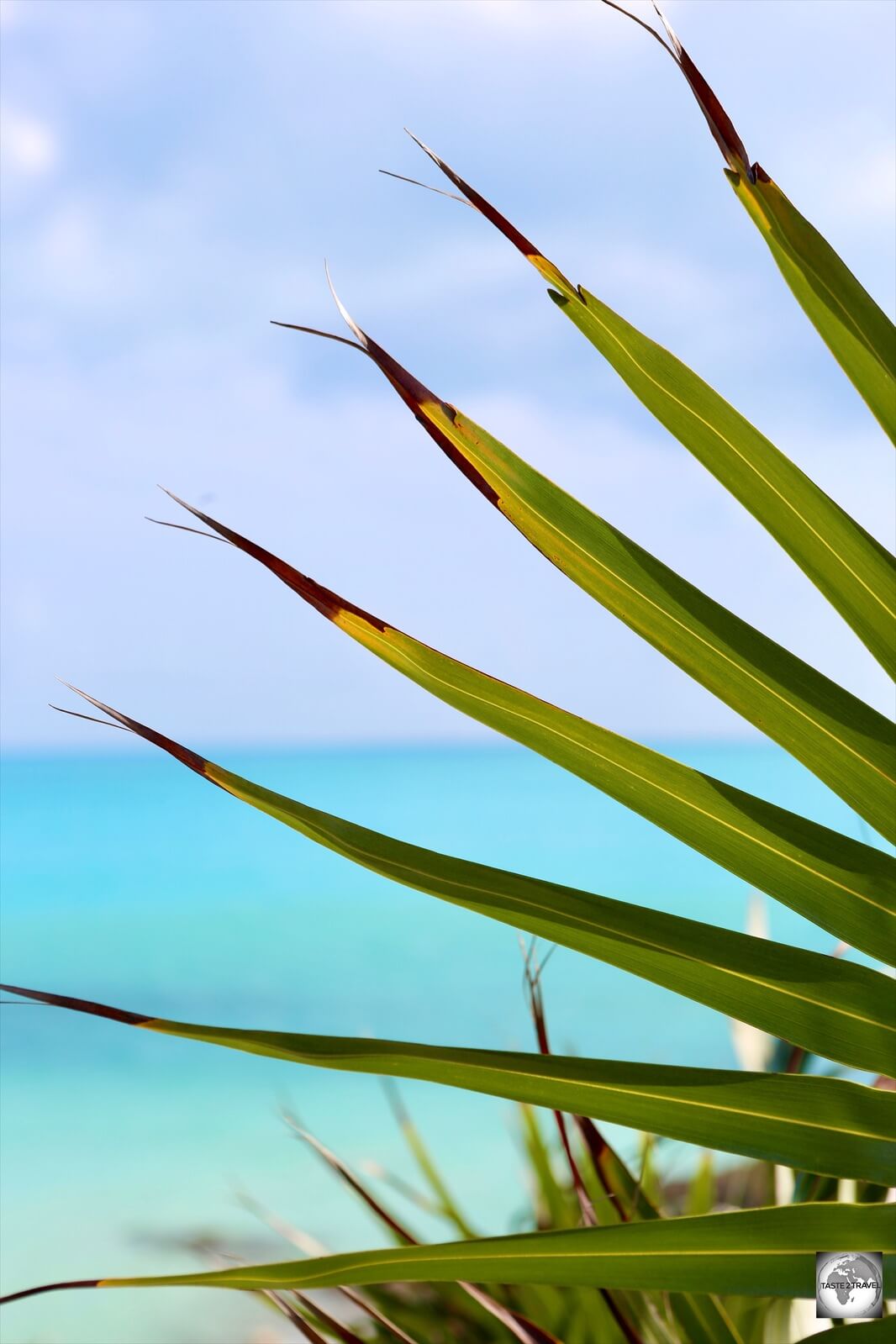 Another beautiful day on TCI.