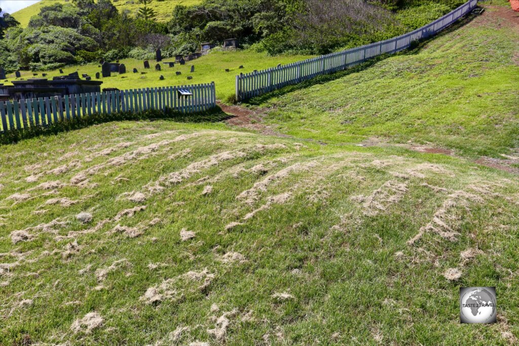 Located outside the eastern fence of the cemetery, 'Murders Mound' is the final resting place of 12 convicts who were hanged for their role in the 'Cooking Pot Riot'.