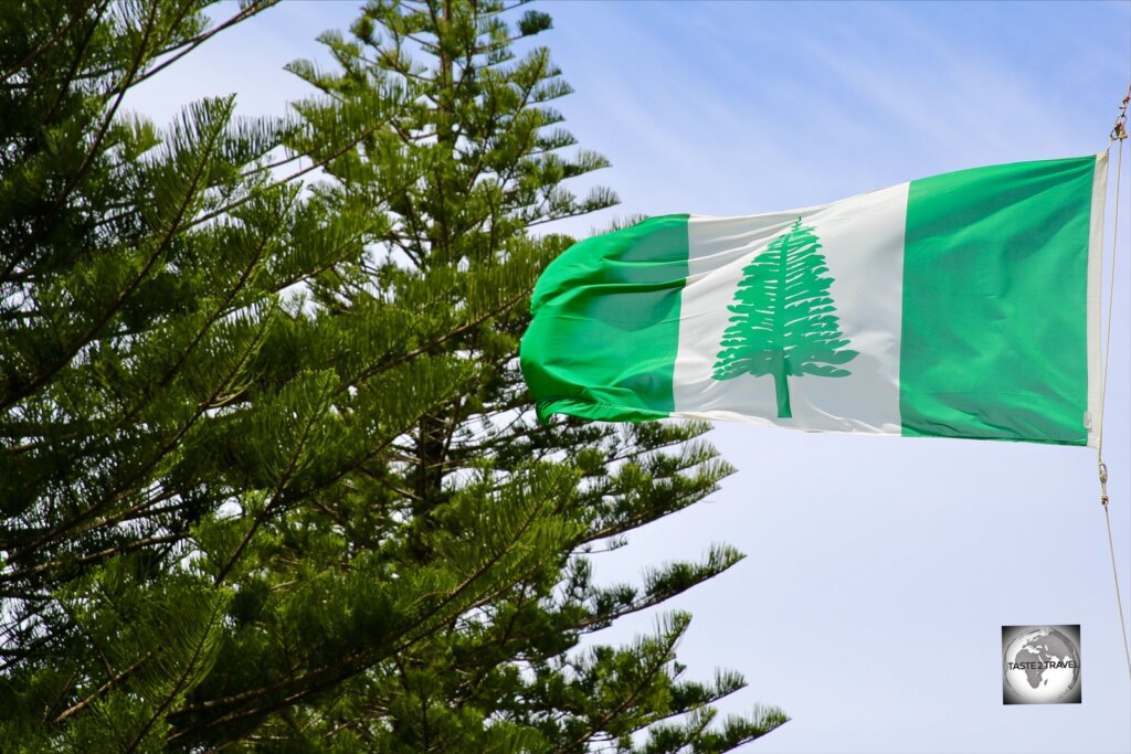 The Norfolk Island flag, fluttering in front of a row of Norfolk Island pines in Kingston.