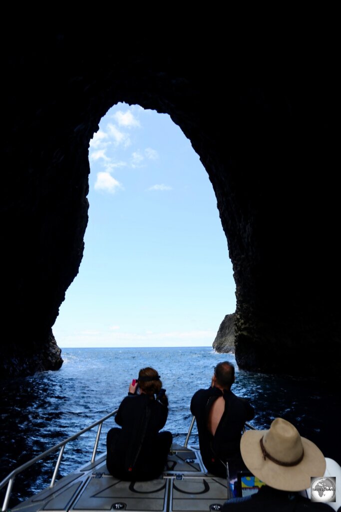 An amazing journey, returning from our dives on Norfolk Island.