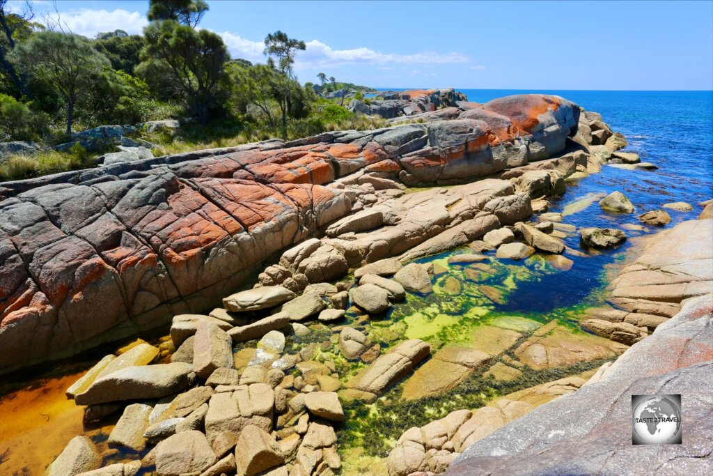 The coastline at <i>The Bay of Fires</i> is lined with giant granite boulders which are covered in orange lichen. .