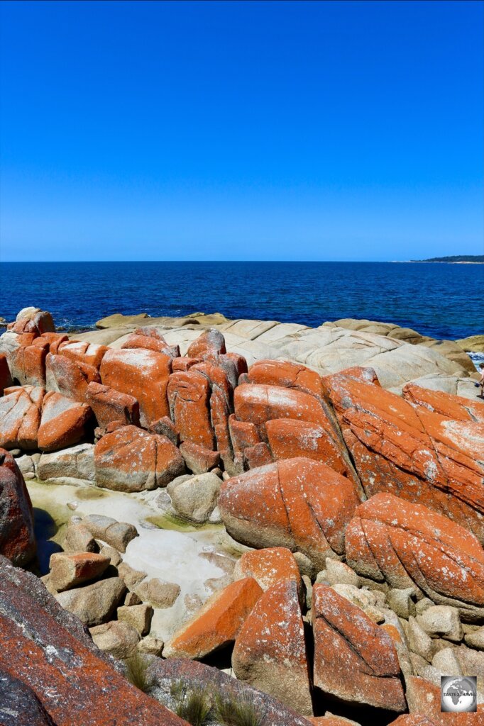 The Bay of Fires region is known for its white-sand beaches which are framed by granite boulders which are covered in orange lichen.