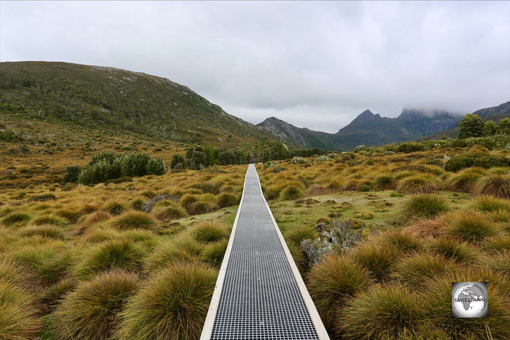 A boardwalk in the UNESCO World Heritage-listed Lake St Clair & Cradle Mountain National Park.