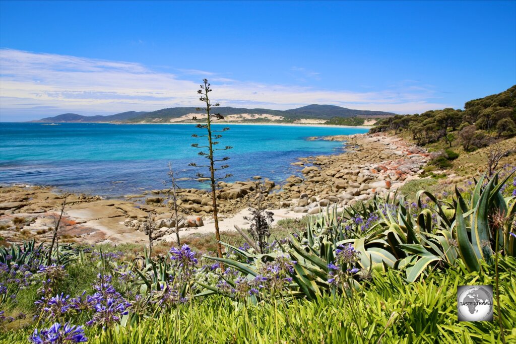 A view of the north coast of Flinders Island from the remote settlement of Palana.