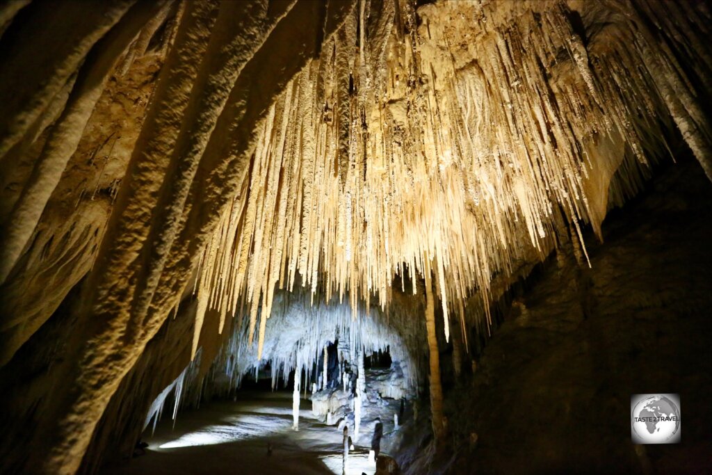 The highlight of Hastings caves, Newdegate Cave, is the largest dolomite cave in Australia and has an impressive collection of hanging, stalactite 'straws'.