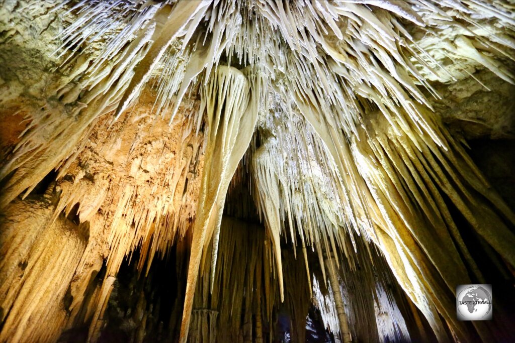 The highlight of Hastings caves, the spectacular Newdegate Cave.