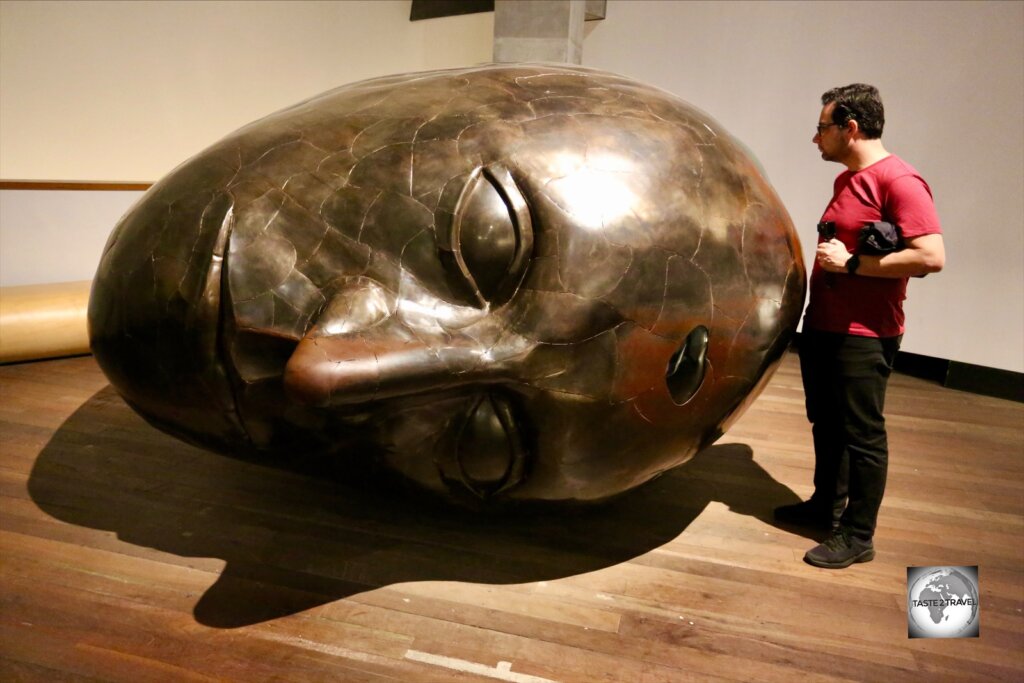 A cerebral exhibit at MONA.