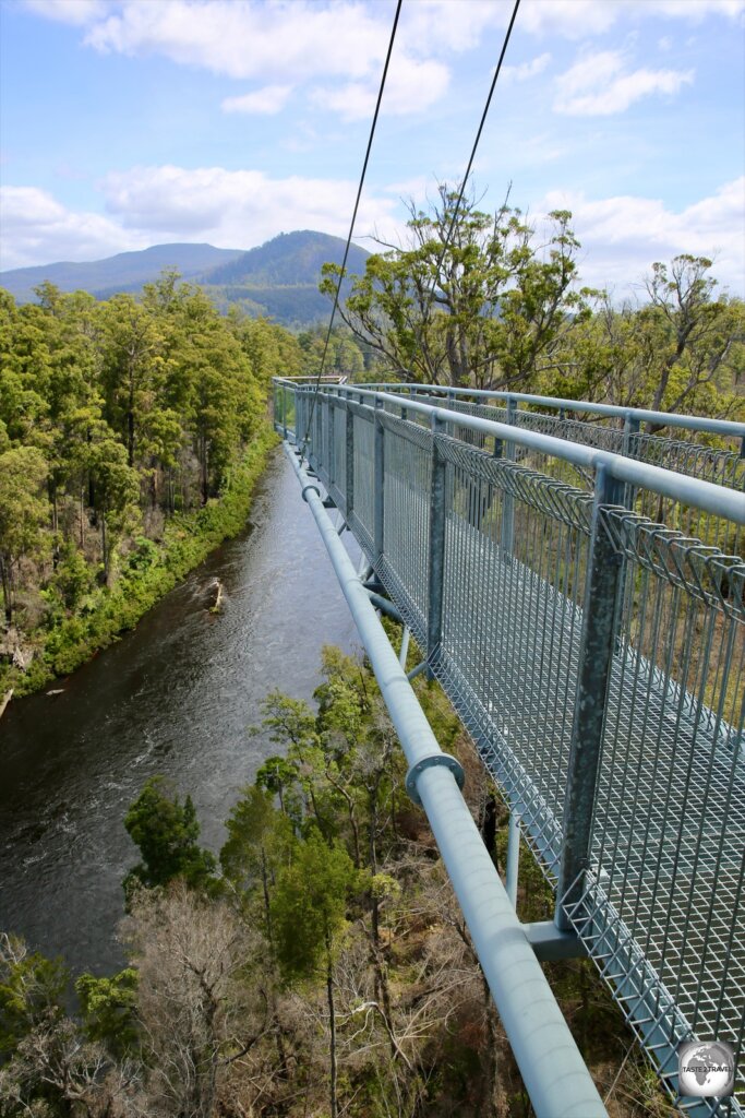 A view of the unsupported cantilever section of the Tahune airwalk, which offers views of the Huon river from a height of 50-metres.