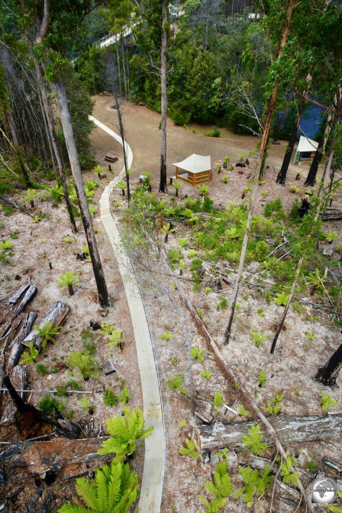 Views of the burnt rainforest from the Tahune airwalk, an elevated walkway 30-metres above the forest floor