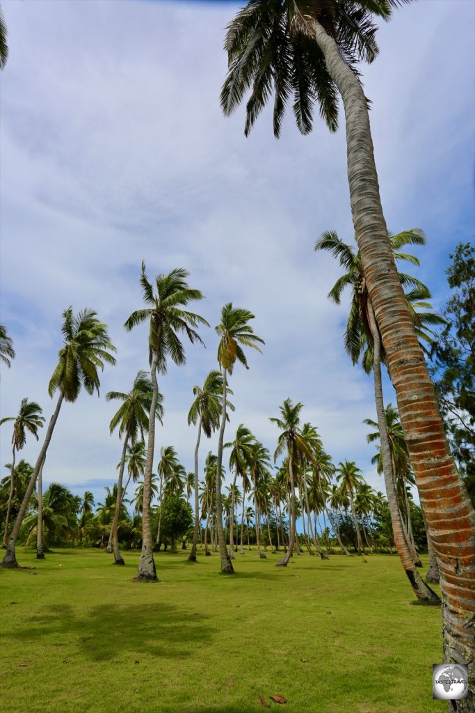 A former coconut plantation on Home Island.