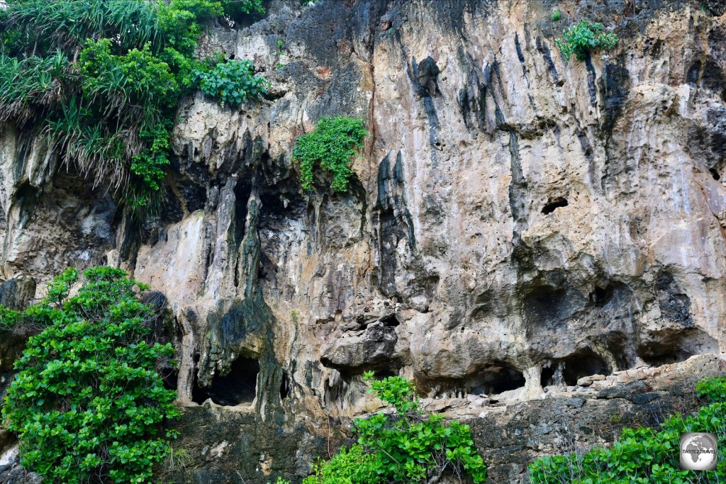 The result of geological uplift, the coastline of Christmas Island features a series of towering limestone cliffs.