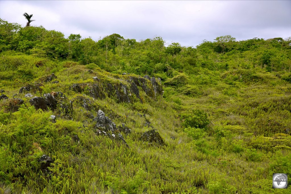 Blackened limestone rocks, such as these on the plateau at Christmas Island, are the tell-tale sign of a former Phosphate mine.