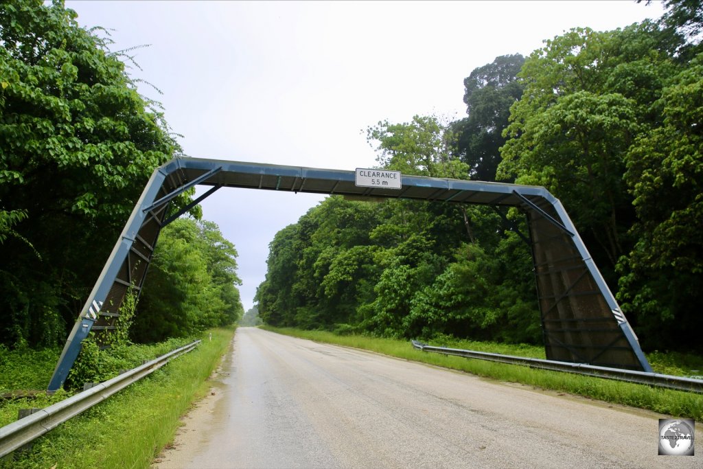 The Christmas Island red crab bridge is located on the main road, beyond the island's only high school.