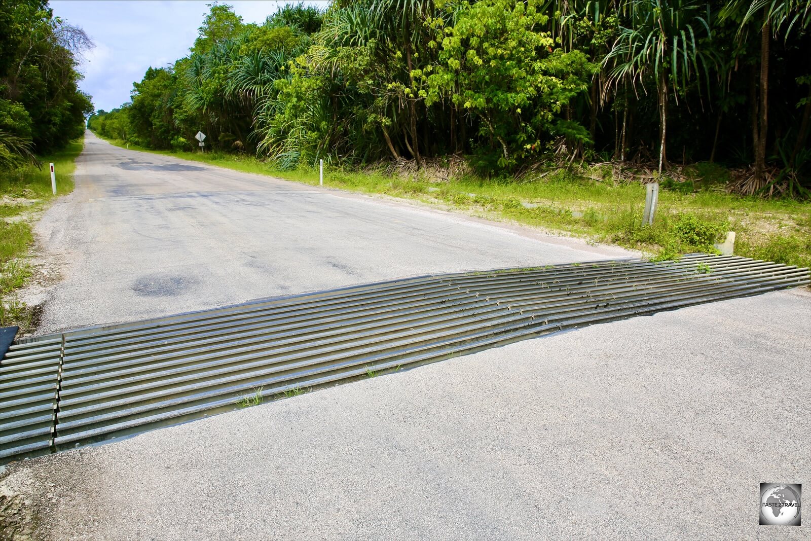 Cattle grids on an island with no cows! Grids on Christmas Island allow for red crabs to pass safely under the road.