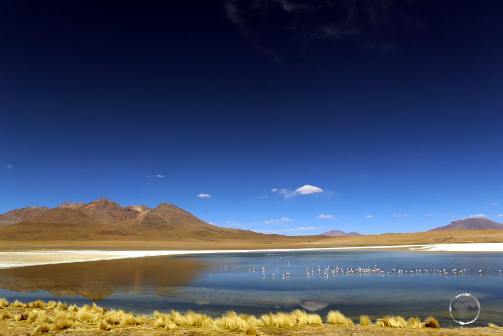 A view of Laguna Cañapa with whispy clumps of golden 'Stipa Itchu', also known as Andes grass.
