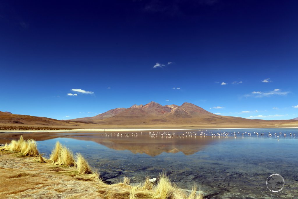 A view of Laguna Cañapa which lies at an elevation of 4,140 metres (13,582 ft) in the Bolivian altiplano.