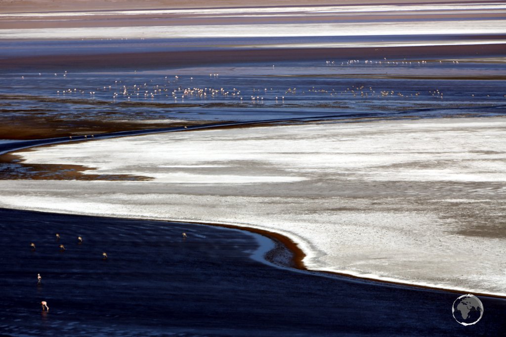 White borax islands, contrast starkly against the deep blue and red water colours of Laguna Colorada, a highlight of the Bolivian altiplano.