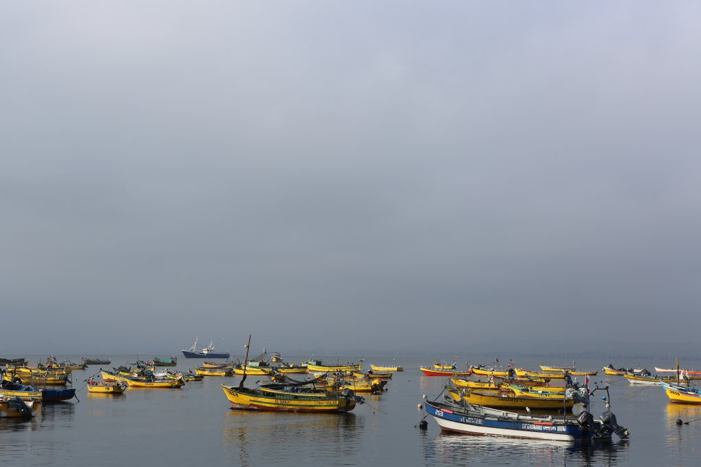 Picturesque fishing boats in the harbour at La Serena, northern Chile.