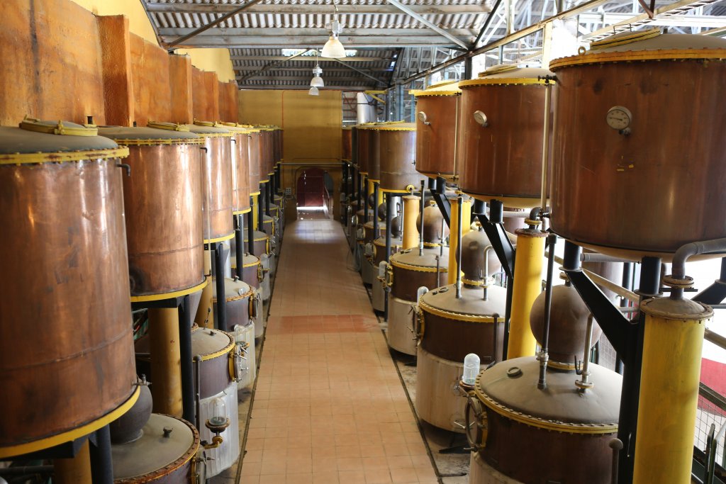 Touring the 'Pisco Elqui' distillery which is located in the Elqui valley, a short drive inland from La Serena, northern Chile.