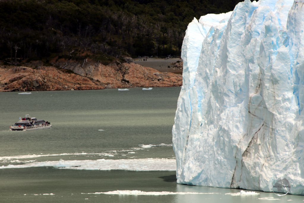 A tour boat on Lago Argentino is dwarfed by the 74 m (240 ft) ice wall of Perito Moreno Glacier in Argentine Patagonia.