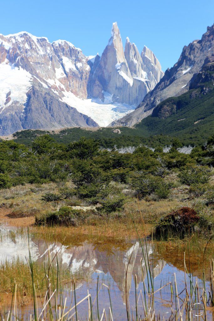 Cerro Torre (3,128 m), reflected in a pond at the Los Glaciares National Park in Patagonia, Argentina.