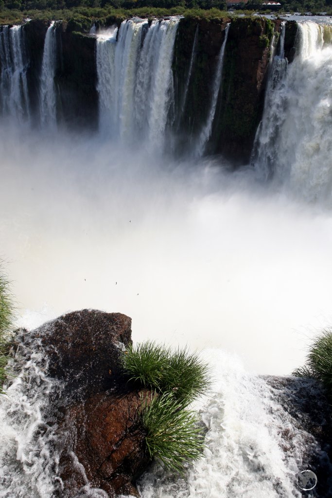 On average, about 1,500 cubic metres of water flows every second over Iguazú falls - equivalent to 1,500,000 litres of water per second!