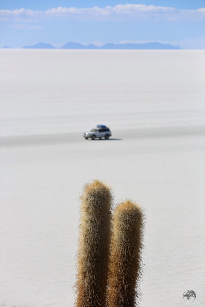 A 4WD crossing the Salar de Uyuni, passes by Incahuasi island. With no roads and no navigational aids, the only way to explore this vast, empty, salt flat is with a knowledgeable driver.