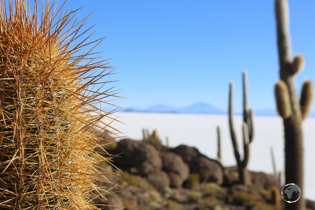 During my visit in September, the average maximum temperature at Salar de Uyuni was around 6 degrees, dropping to around -3 degrees in the evening.