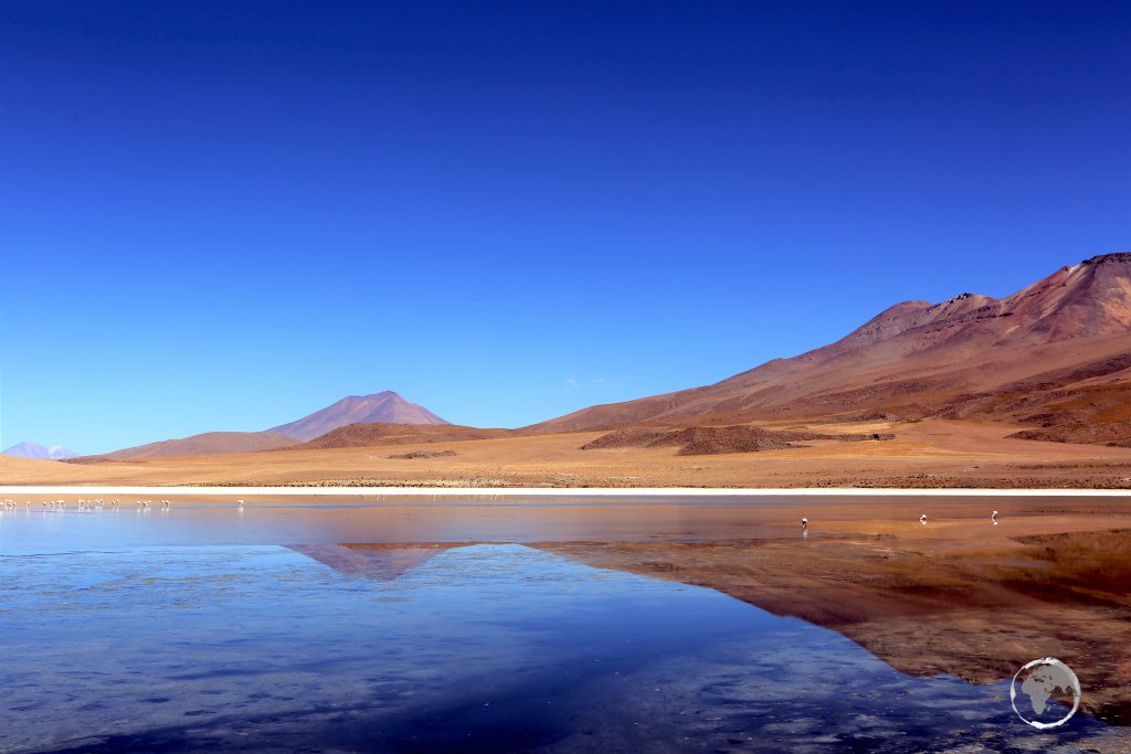Located at 4,140 metres (13,582 ft), the saline waters of Canapa lagoon attract large numbers of Andean flamingos, making it a highlight of the Salar de Uyuni.