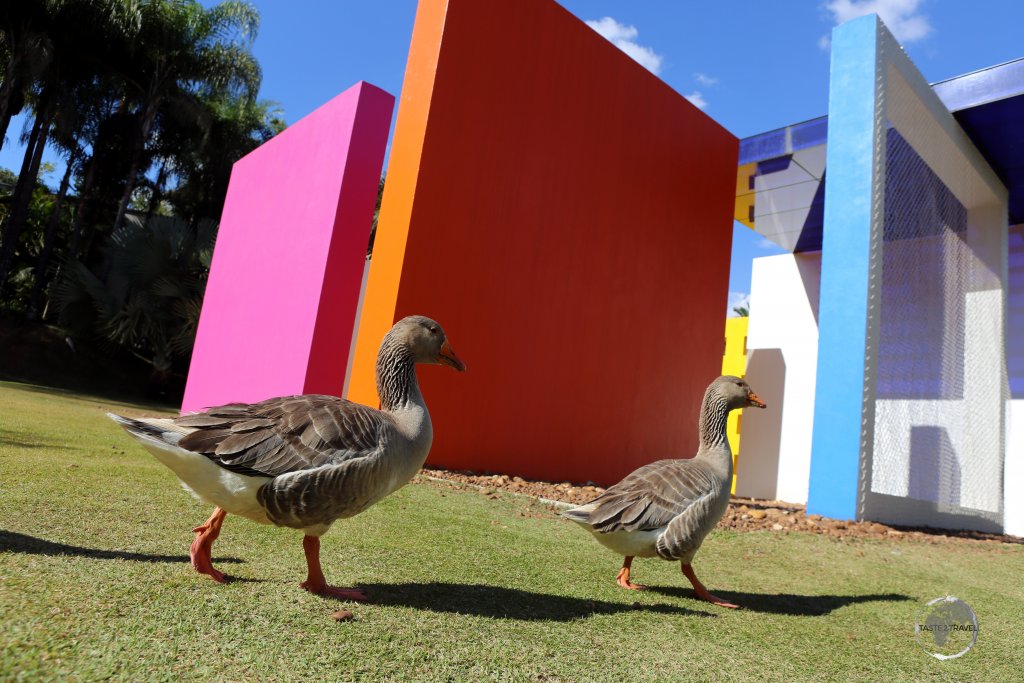 A highlight of Minas Gerais state, Inhotim Botanical Gardens is the largest open-air contemporary art centre in Latin America.