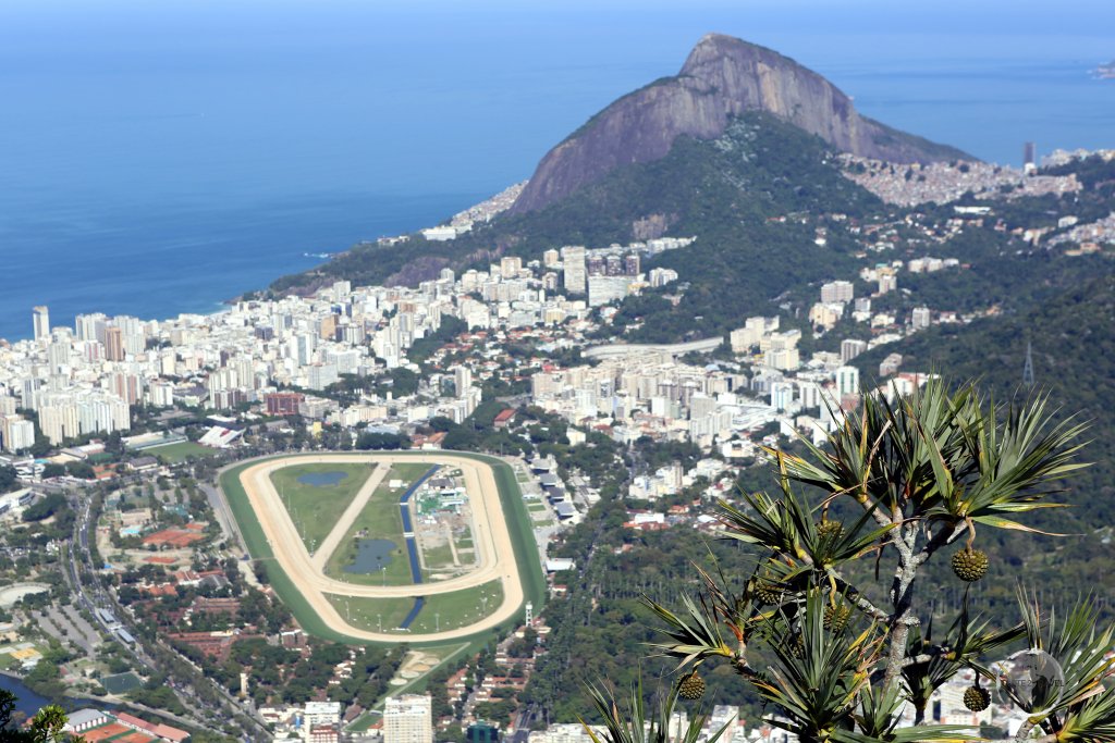 A panoramic view of the Rio beachside neighbourhood of Leblon and the Rio Jockey Club horse racing track from Corcovado mountain.