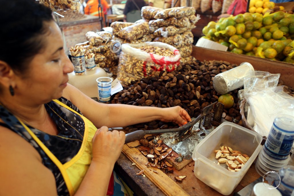 A Brazil nut seller in Belém market, using a guillotine to shave the shell off of each nut.