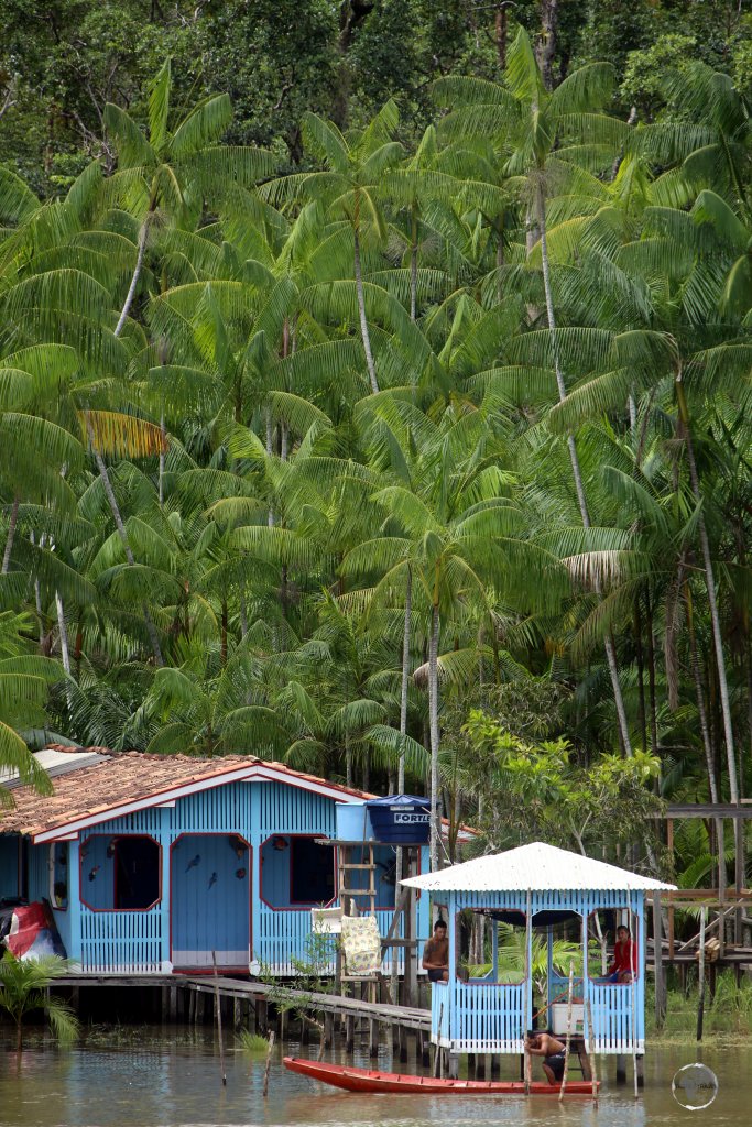 Totally off the grid and only accessible from the river - remote housing in the middle of the Amazon jungle.