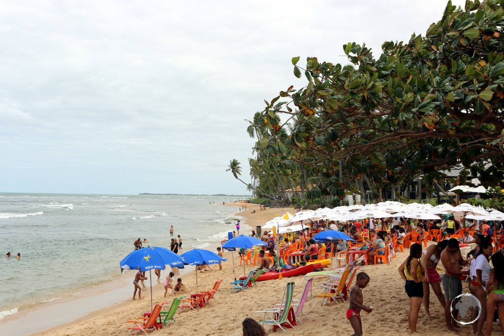 Praia do Forte is a long beach with a small village 80 km away from the city of Salvador de Bahia, located in north-eastern Brazil and facing the Atlantic Ocean.