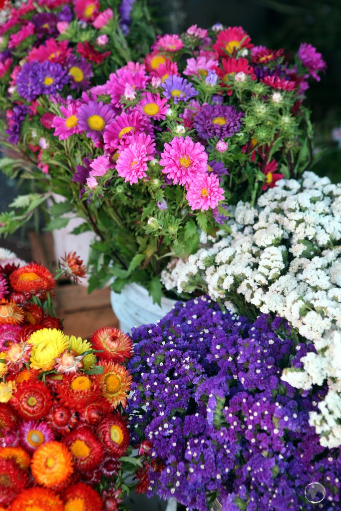 Flowers for sale at Chillán market, a major city in central Chile which is located 400 km south of the capital, Santiago.