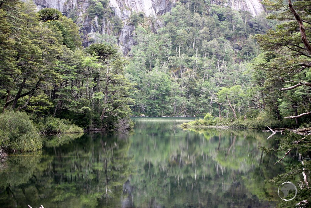 Offering lakes, waterfalls and towering volcanoes, the lakes district of southern Chile is a playground for those who enjoy the outdoors.