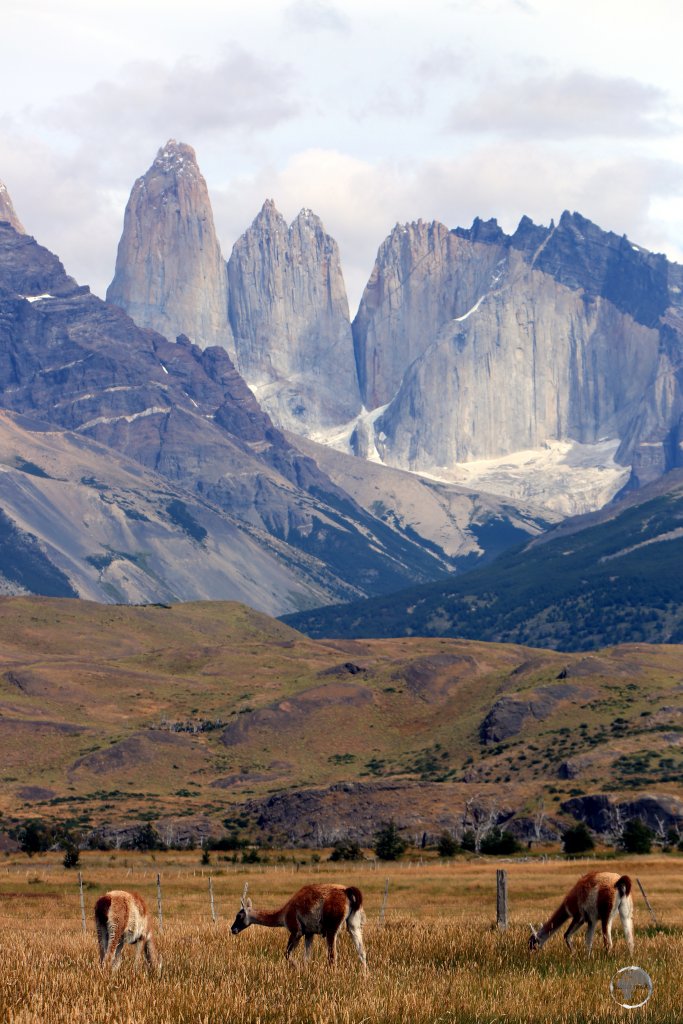 The landscape of the Torres del Paine National Park is dominated by the Paine massif, which is an eastern spur of the Andes.