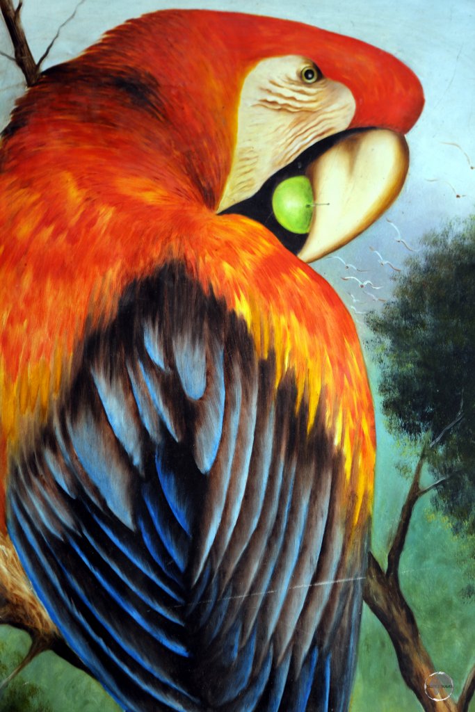 A painting of a Macaw adorns a cafe wall in Cartagena.