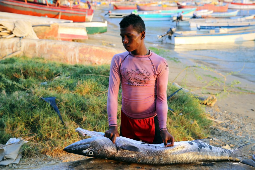 A fish monger in the small Caribbean fishing port of Taganga, which is located close to Santa Marta.