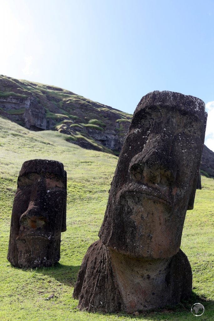 Completed moai statues awaiting delivery remain half-buried on the slopes of the Rano Raraku stone quarry. 95% of all Easter Island statues were carved from this quarry.