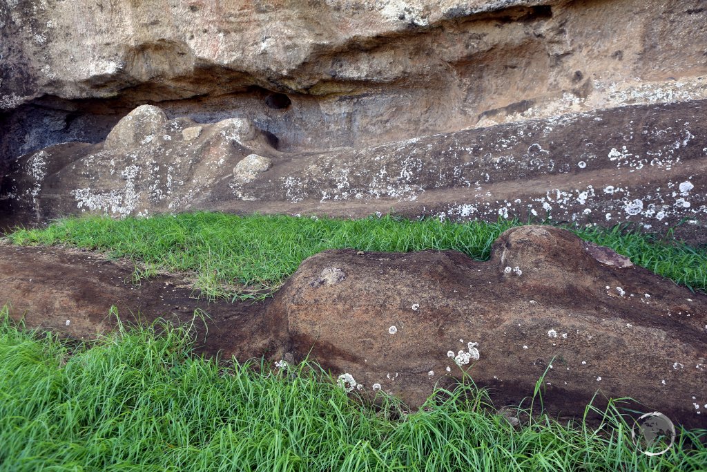 Two incomplete moai statues lie in place at Rano Raraku stone quarry. The tradition of building statues lasted four centuries with the first ones being small. As skills were refined, the statues grew in size, eventually reaching 10 metres in height and weighing in at 80 tons!