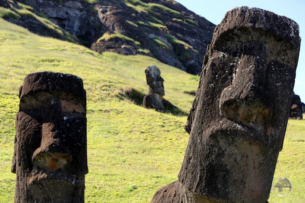Abandoned moai lie half-buried on the slopes of Rano Raraku volcano, the source of 95% of all statues produced on Easter Island.