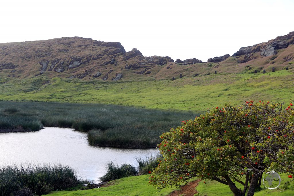 Rano Raraku, a volcanic crater located in the south-eastern corner of Easter Island, was the main quarry for the massive monolithic sculptures, known as moai, created by the Rapa Nui people.