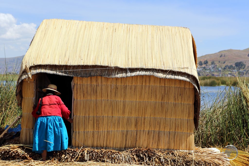 Everything in the world of the Uros people, from their floating islands to their homes, is constructed from dried Totora reeds, which grow along the shoreline of Lake Titicaca.