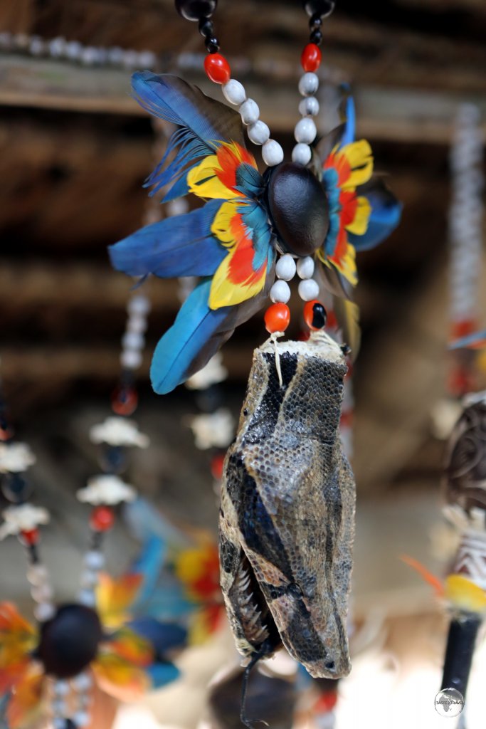 A different type of souvenir - an Anaconda head necklace for sale at a Yagua Indigenous Indian village near Iquitos, Peru.