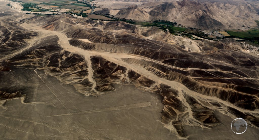 The Nazca Lines form shapes that are best seen from the air (at around 500 m (1,600 ft), and include figurative designs of animals, plants and geometric shapes.